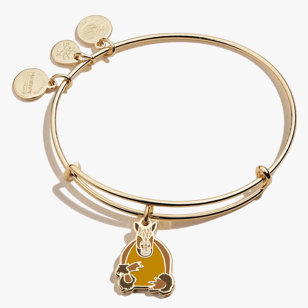 FRIENDS™ Holiday Armadillo Charm Bangle | Boutique In USA, Bracelets, $ 5.90, A Moment Of Now™