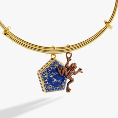 Harry Potter™ Chocolate Frog Two-Charm Bangle, Bracelets, $ 34.00, A Moment Of Now™