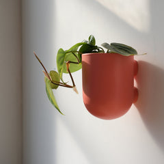 Bender Handmade Ceramic Wall Planter - Indoor & Outdoor with Drainage