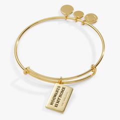 Harry Potter™ Acceptance Letter Charm Bangle | Boutique In USA, Bracelets, $ 28.00, A Moment Of Now™