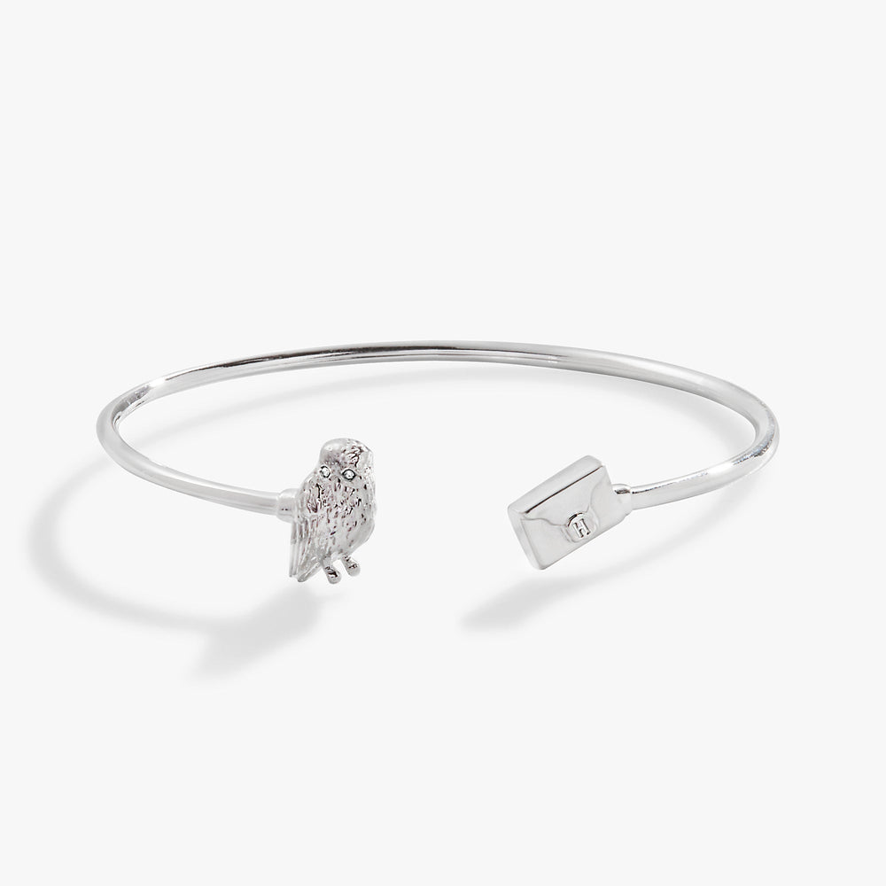 Harry Potter™ Hedwig + Letter Flex Cuff, Bracelets, $ 34.00, A Moment Of Now™