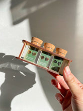 Custom Etched Propagation Stand + 3 Set Houseplant Earring Studs