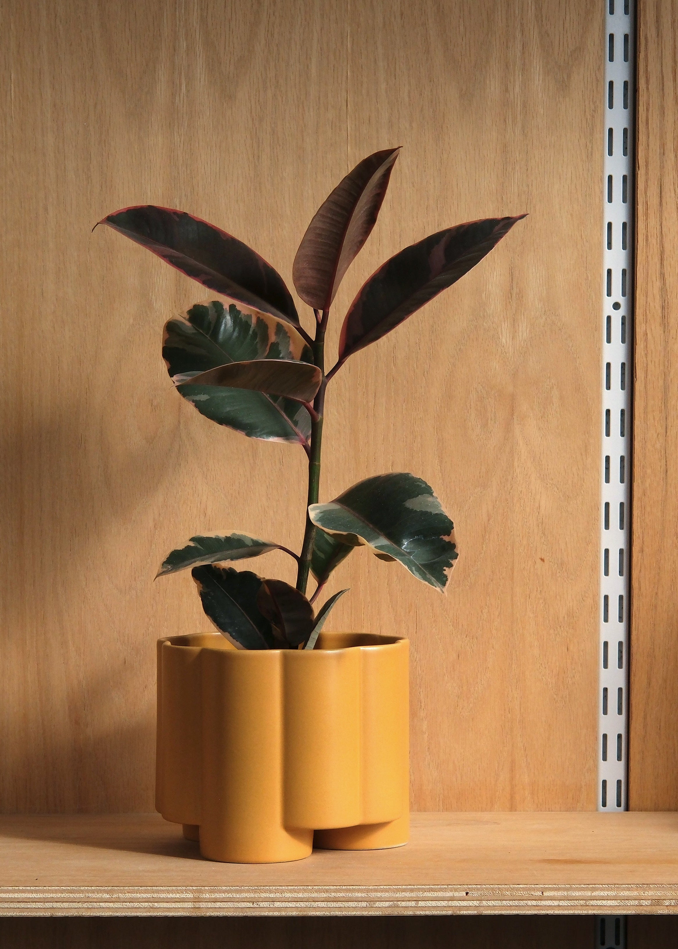 fluted planter pot Pillar Planter marigold