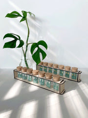 Custom Etched Propagation Stand + 3 Set Houseplant Earring Studs