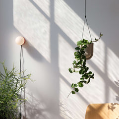 Monroe Sconce - Small