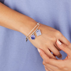 Willy Wonka 'Violet' Duo Charm Bangle, Bracelets, $ 21.90, A Moment Of Now™