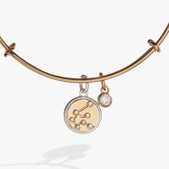 Aquarius Zodiac Charm Bangle | Boutique In USA, Bracelets, $ 34.00, A Moment Of Now™