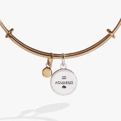 Aquarius Zodiac Charm Bangle | Boutique In USA, Bracelets, $ 34.00, A Moment Of Now™