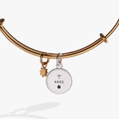 Aries Zodiac Charm Bangle | Boutique In USA, Bracelets, $ 34.00, A Moment Of Now™
