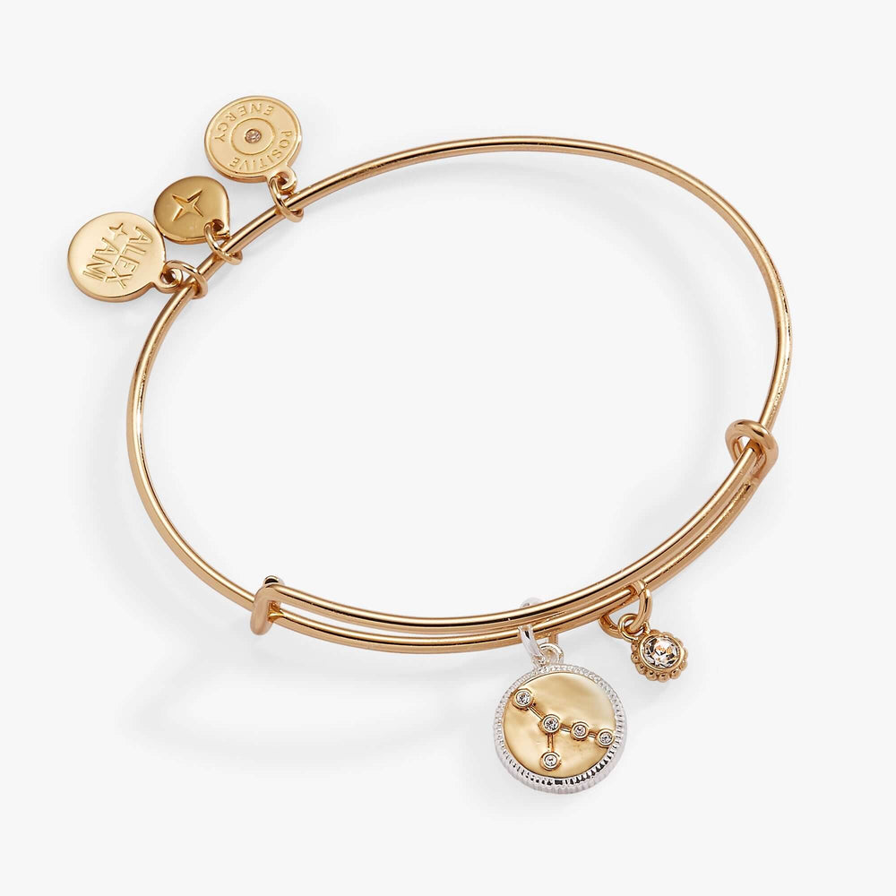 Cancer Zodiac Charm Bangle | Boutique In USA, Bracelets, $ 34.00, A Moment Of Now™