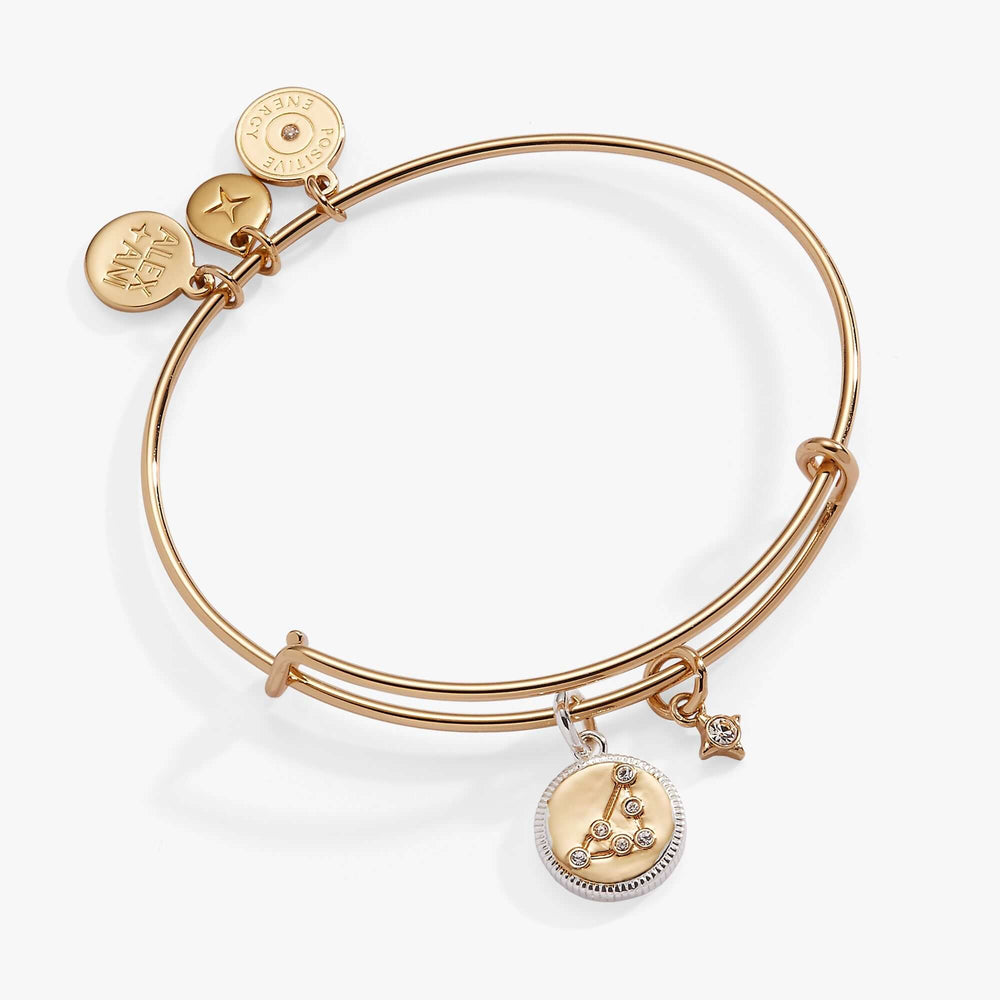 Capricorn Zodiac Charm Bangle | Boutique In USA, Bracelets, $ 34.00, A Moment Of Now™