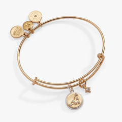 Capricorn Zodiac Charm Bangle, Bracelets, $ 34.00, A Moment Of Now™