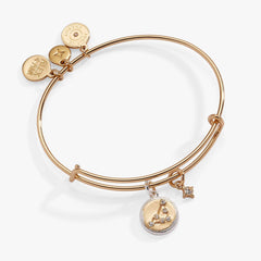 Capricorn Zodiac Charm Bangle | Boutique In USA, Bracelets, $ 34.00, A Moment Of Now™