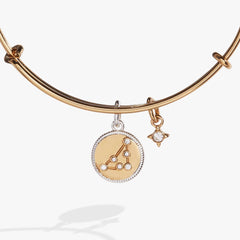 Capricorn Zodiac Charm Bangle | Boutique In USA, Bracelets, $ 34.00, A Moment Of Now™