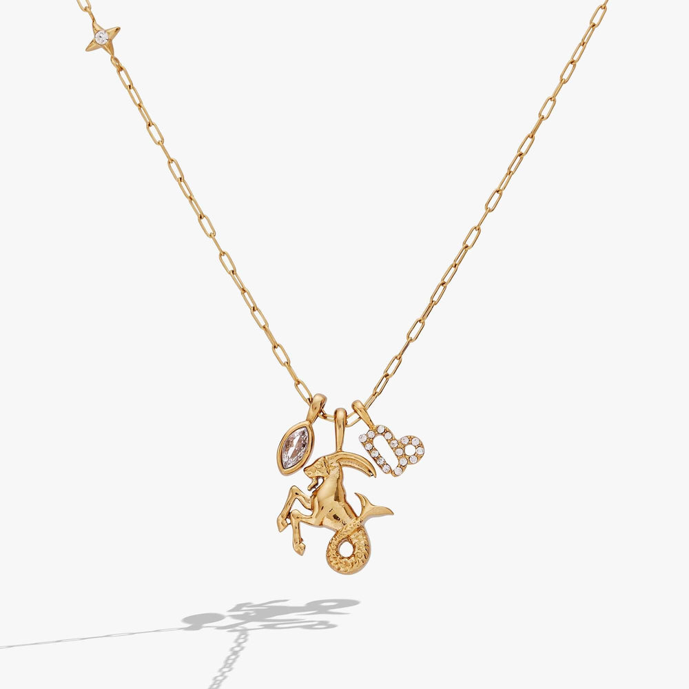 Capricorn Zodiac Charm Cluster Necklace, Necklaces, $ 54.00, A Moment Of Now™