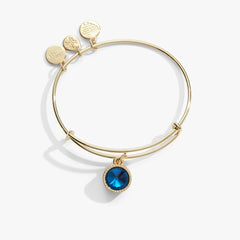 December Birthstone Charm Bangle, Blue Zircon, Bracelets, $ 28.00, A Moment Of Now™