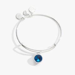 December Birthstone Charm Bangle, Blue Zircon, Bracelets, $ 28.00, A Moment Of Now™