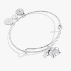 Elephant Charm Bangle, Bracelets, $ 28.00, A Moment Of Now™