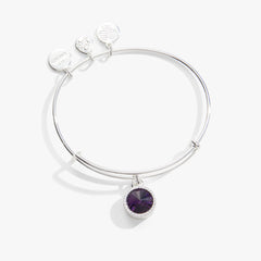 February Birthstone Charm Bangle, Amethyst, Bracelets, $ 28.00, A Moment Of Now™
