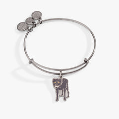 Harry Potter™ Sirius Black Charm Bangle Bracelet | Boutique In USA, Bracelets, $ 27.90, A Moment Of Now™
