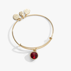 January Birthstone Charm Bangle, Scarlet | Boutique In USA, Bracelets, $ 28.00, A Moment Of Now™