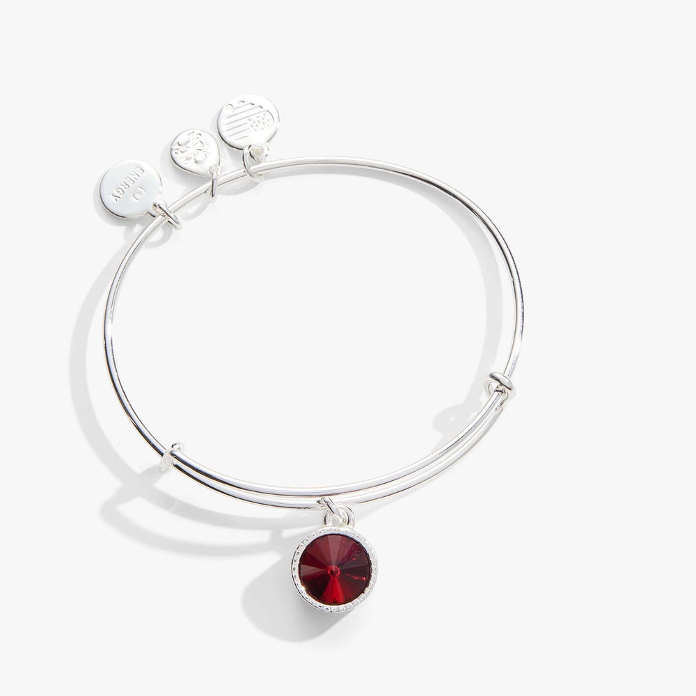 January Birthstone Charm Bangle, Scarlet | Boutique In USA, Bracelets, $ 28.00, A Moment Of Now™