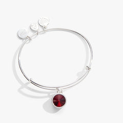 January Birthstone Charm Bangle, Scarlet, Bracelets, $ 28.00, A Moment Of Now™