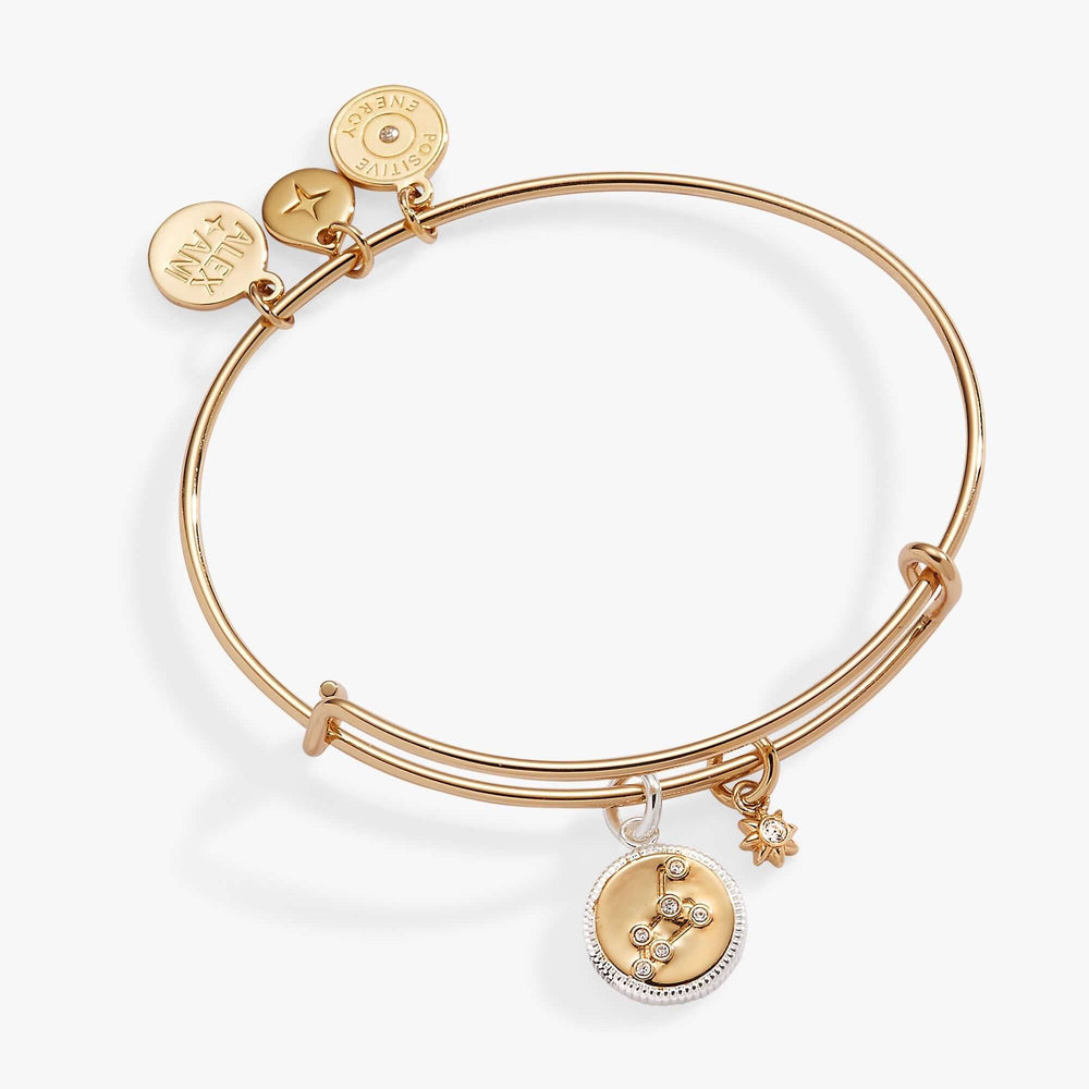 Leo Zodiac Charm Bangle | Boutique In USA, Bracelets, $ 34.00, A Moment Of Now™