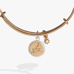 Leo Zodiac Charm Bangle, Bracelets, $ 34.00, A Moment Of Now™