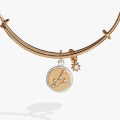 Leo Zodiac Charm Bangle | Boutique In USA, Bracelets, $ 34.00, A Moment Of Now™