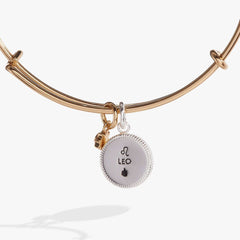Leo Zodiac Charm Bangle | Boutique In USA, Bracelets, $ 34.00, A Moment Of Now™