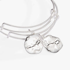 Little Dipper BFF Bangle Set of 2 | Boutique In USA, Bracelets, $ 23.90, A Moment Of Now™