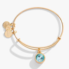 March Birthstone Charm Bangle, Aquamarine | Boutique In USA, Bracelets, $ 28.00, A Moment Of Now™