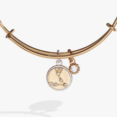 Pisces Zodiac Charm Bangle | Boutique In USA, Bracelets, $ 34.00, A Moment Of Now™