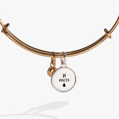 Pisces Zodiac Charm Bangle | Boutique In USA, Bracelets, $ 34.00, A Moment Of Now™