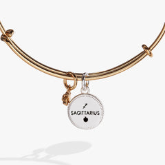 Sagittarius Zodiac Charm Bangle, Bracelets, $ 34.00, A Moment Of Now™