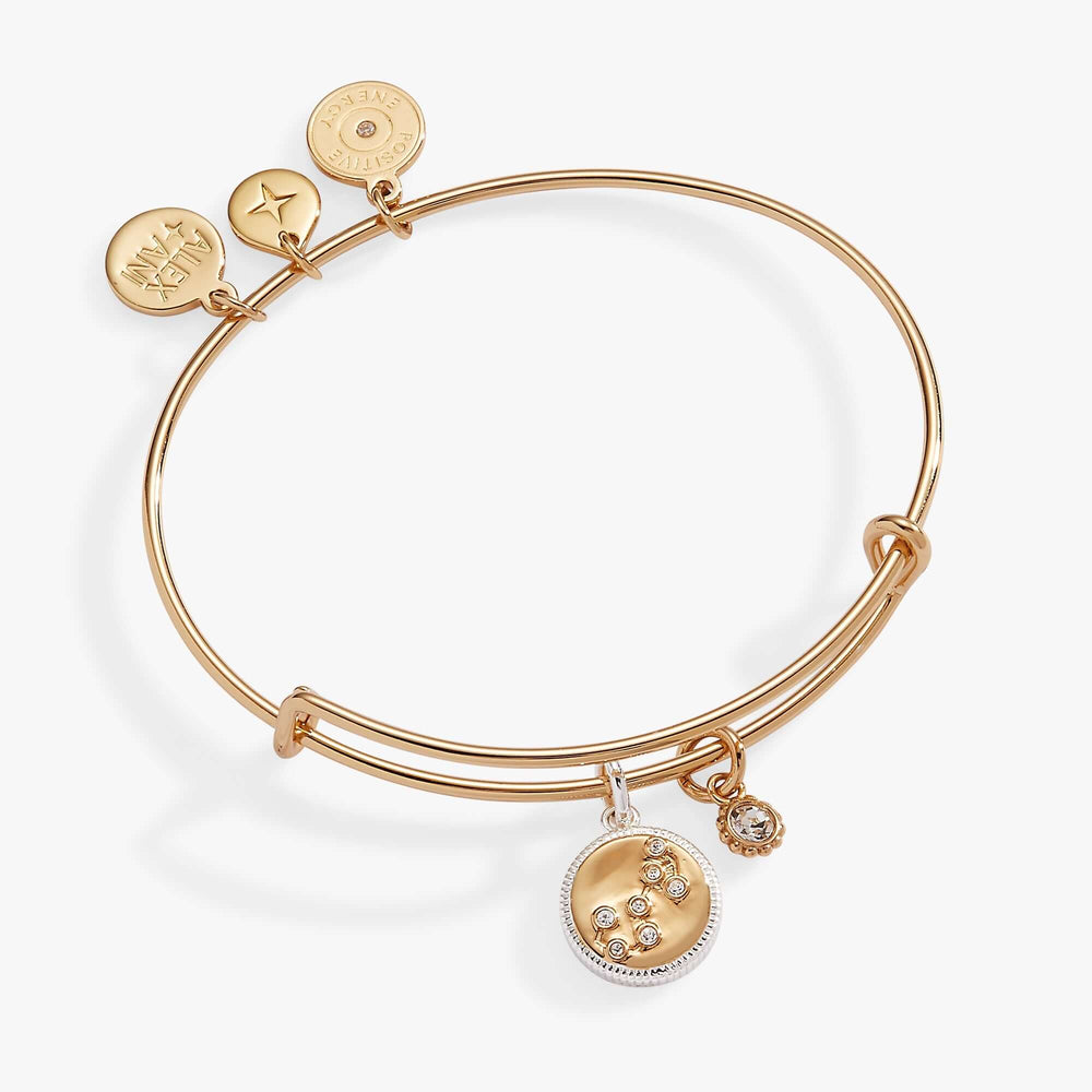 Scorpio Zodiac Charm Bangle | Boutique In USA, Bracelets, $ 34.00, A Moment Of Now™
