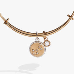 Scorpio Zodiac Charm Bangle | Boutique In USA, Bracelets, $ 34.00, A Moment Of Now™
