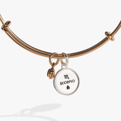Scorpio Zodiac Charm Bangle | Boutique In USA, Bracelets, $ 34.00, A Moment Of Now™