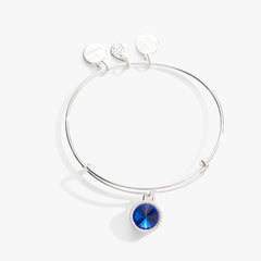 September Birthstone Charm Bangle, Sapphire, Bracelets, $ 28.00, A Moment Of Now™