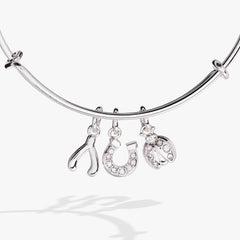 Love and Luck Multi-Charm Bangle, Bracelets, $ 38.00, A Moment Of Now™