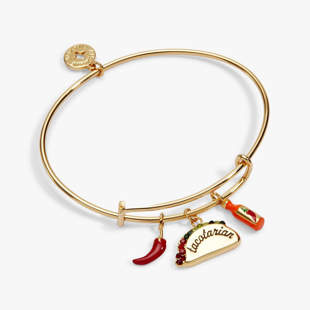 'Tacotarian' Multi Charm Bangle, Bracelets, $ 38.00, A Moment Of Now™