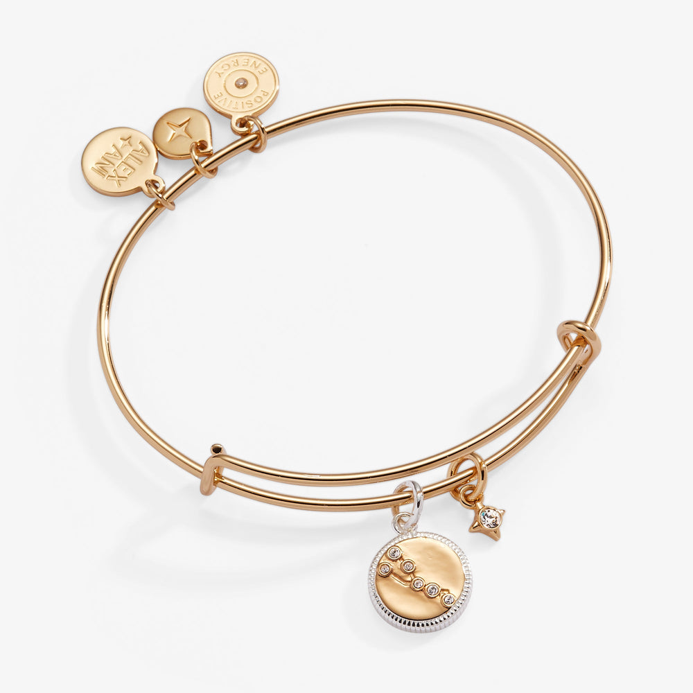 Taurus Zodiac Charm Bangle, Bracelets, $ 34.00, A Moment Of Now™