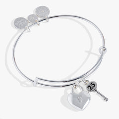 25th Anniversary Bangle, Bracelets, $ 21.90, A Moment Of Now™