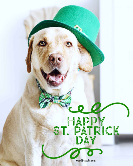 Happy St. Patrick Day! Holidays Team Li-Jacobs A Moment Of Now