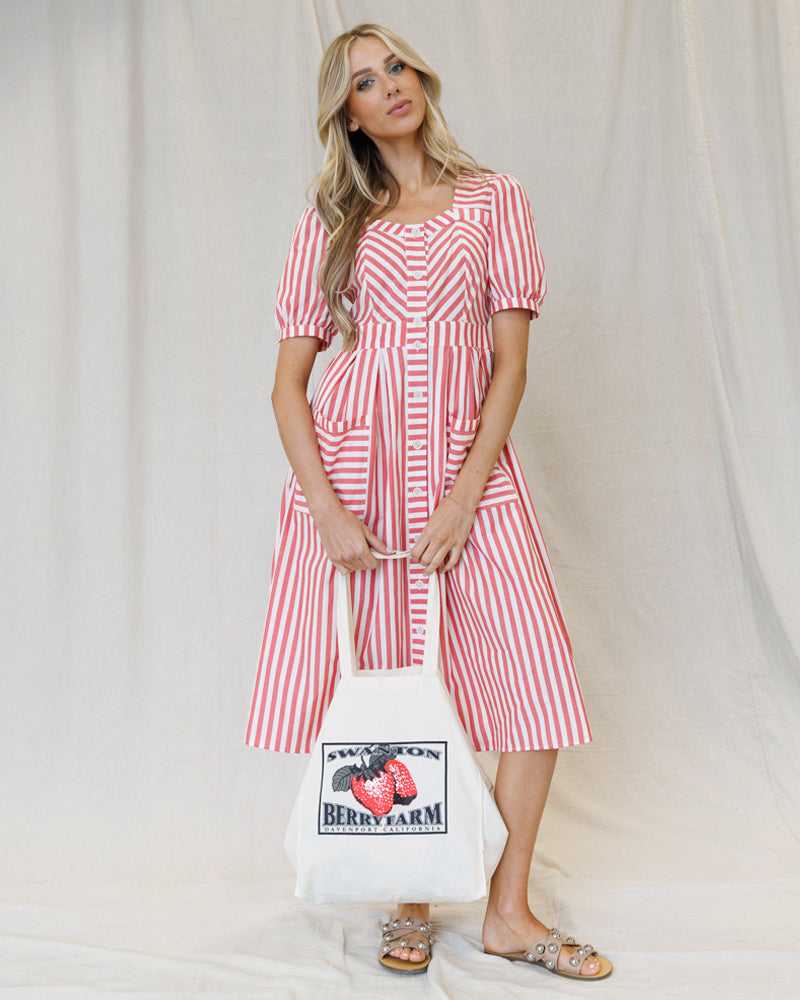 Bright Red Stripe  Must Have Mitered Dress