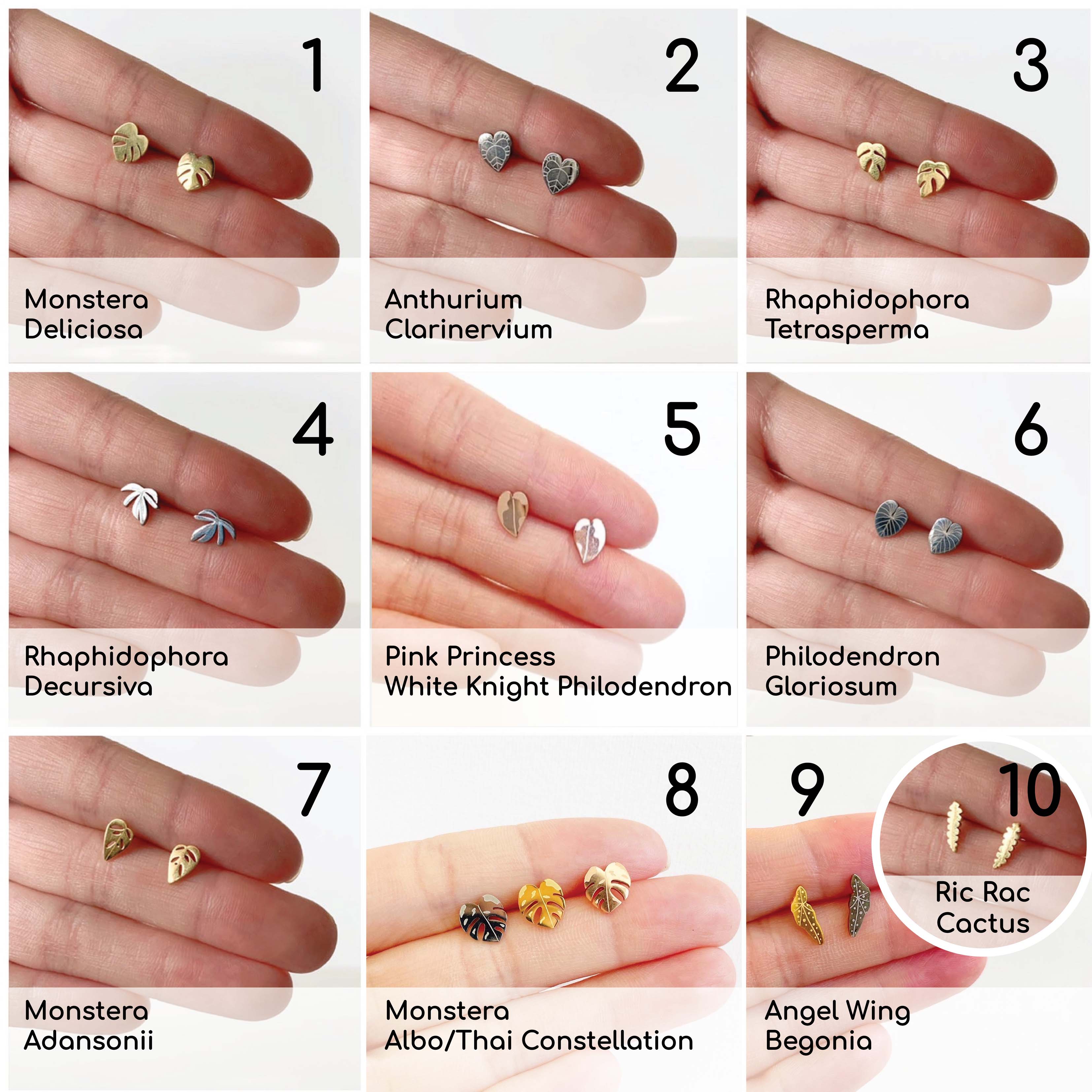 Custom Etched Propagation Stand + 3 Set Houseplant Earring Studs