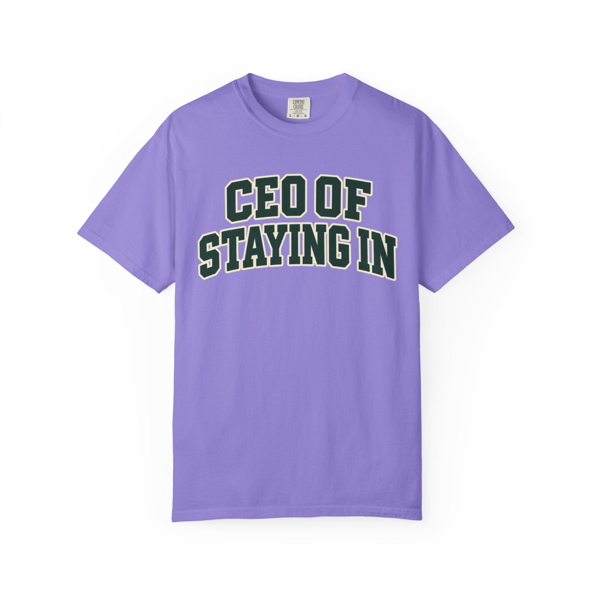 CEO of Staying In funny homebody T-shirt product image 12