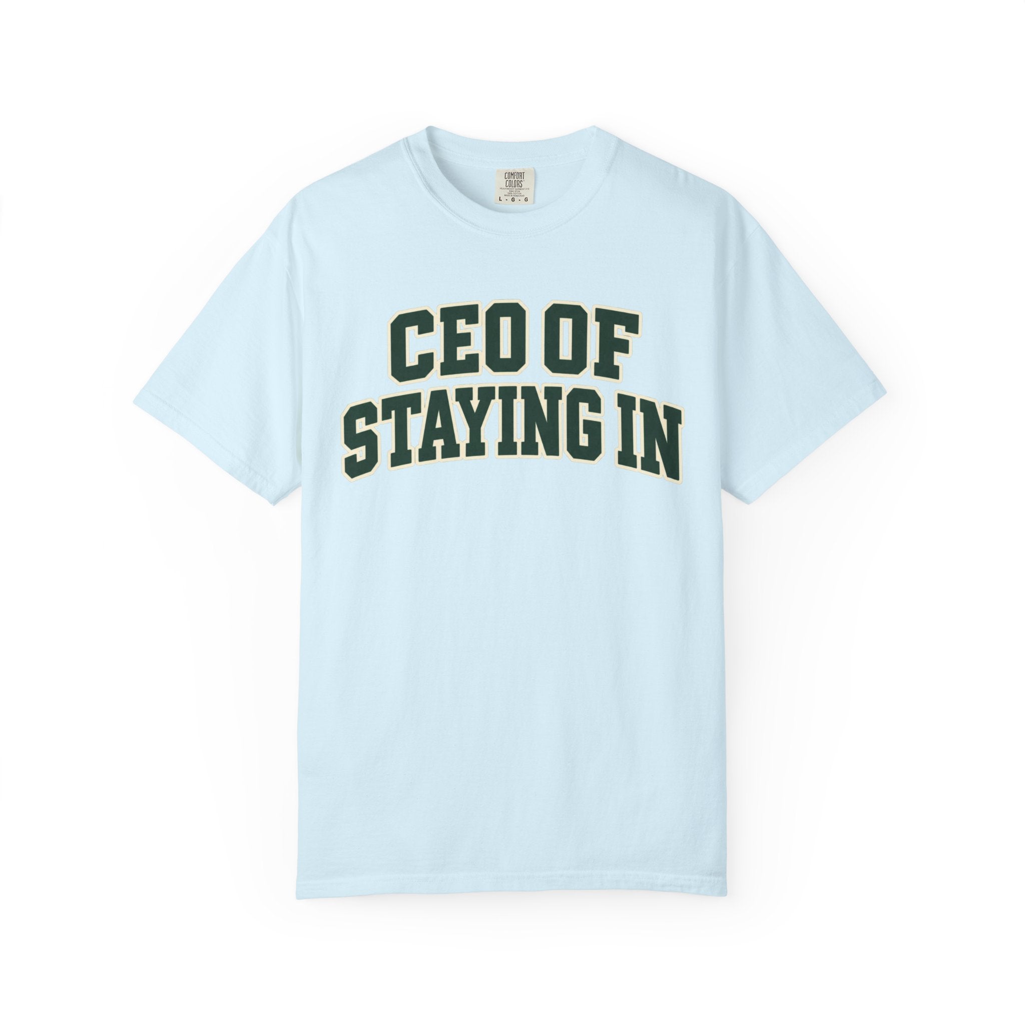 CEO of Staying In funny homebody T-shirt product image 8