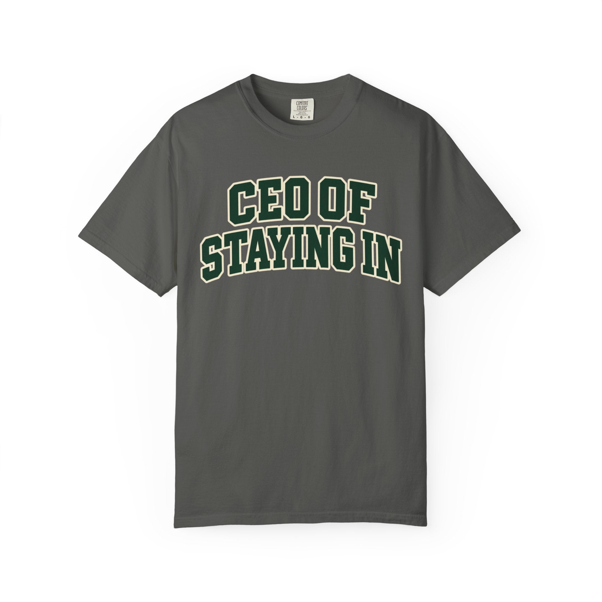 CEO of Staying In funny homebody T-shirt product image 3